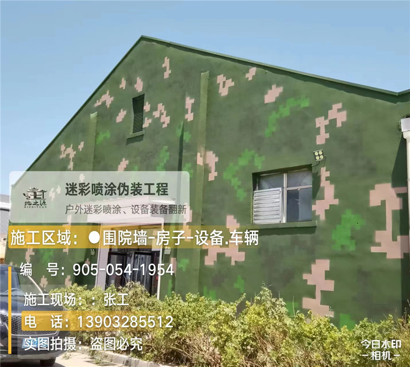 临沧外墙数码迷彩漆施工报价清单（100㎡标准墙面测算）
